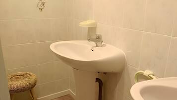 Shower, hair dryer