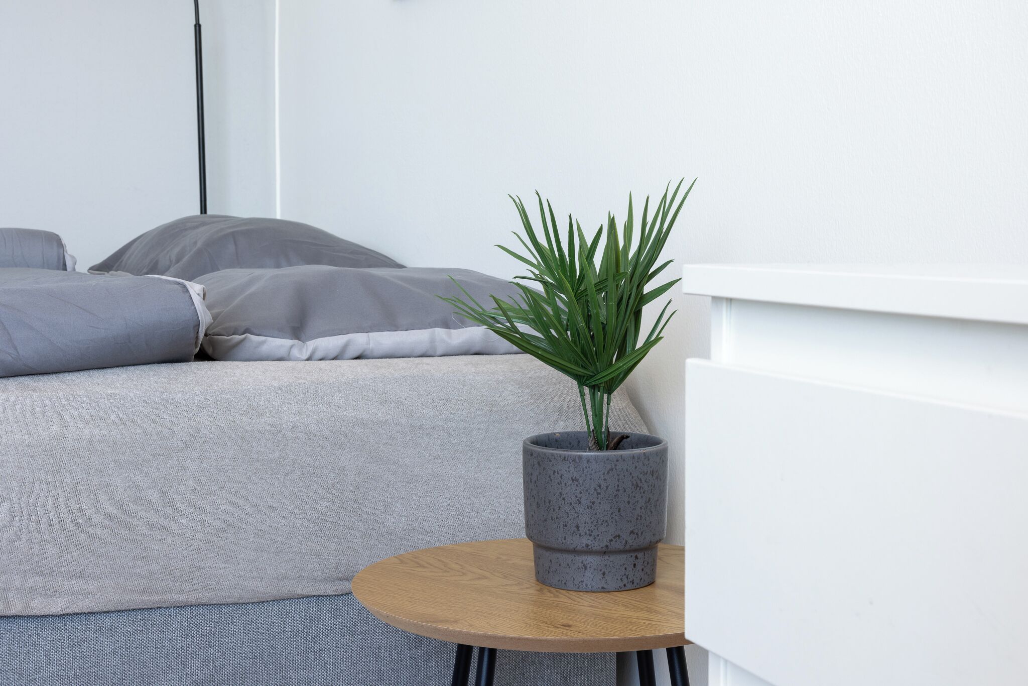 Studio phong cách cổ điển, 1 giường cỡ queen và sofa giường, bếp | Truy cập Internet không dây miễn phí 