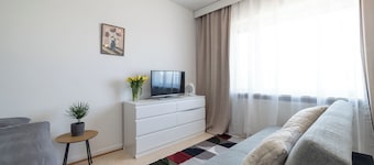 Stylish Studio Apt in Kemi