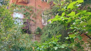 Ein mehrstöckiges Gebäude mit Balkonen, umgeben von üppiger Vegetation.