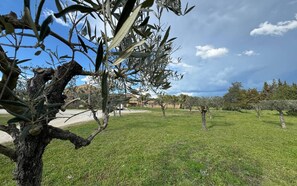 Property grounds - Traveling in the 21st century is all about comfort (Mouriès)