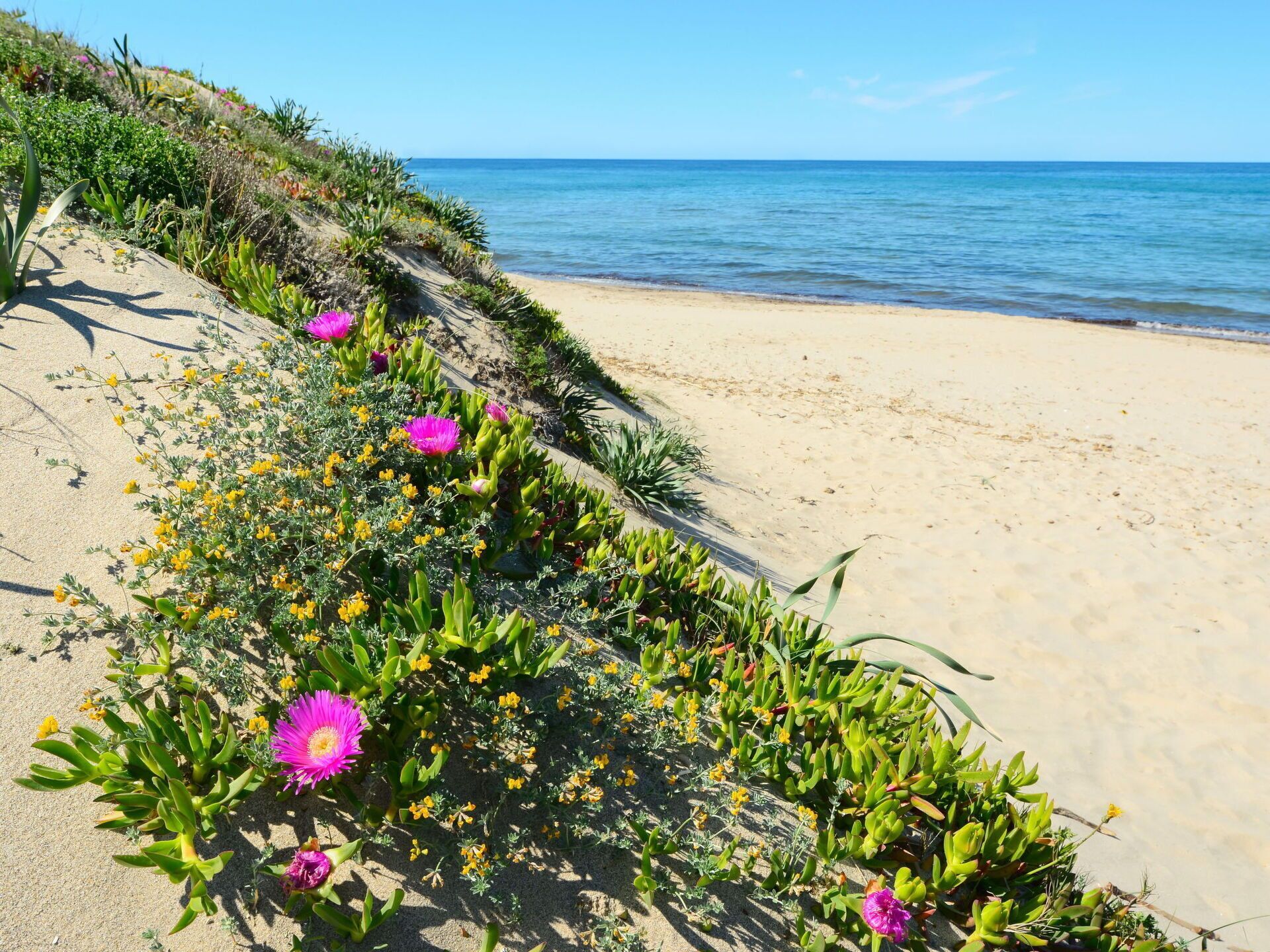 Plage