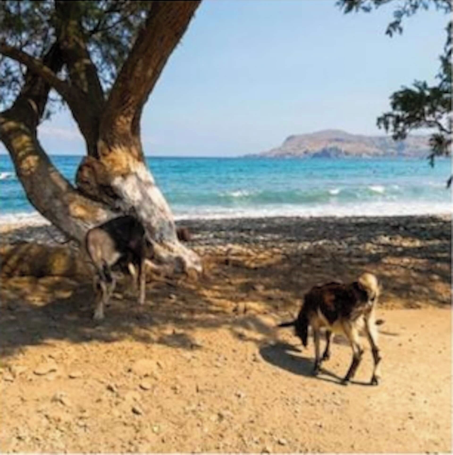 Plage