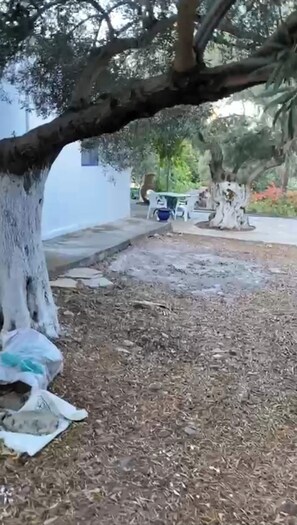 Unterkunftsgelände