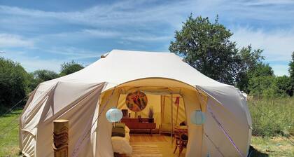 đŽ La Tiki Tent â une aventure exotique en pleine nature đŽ