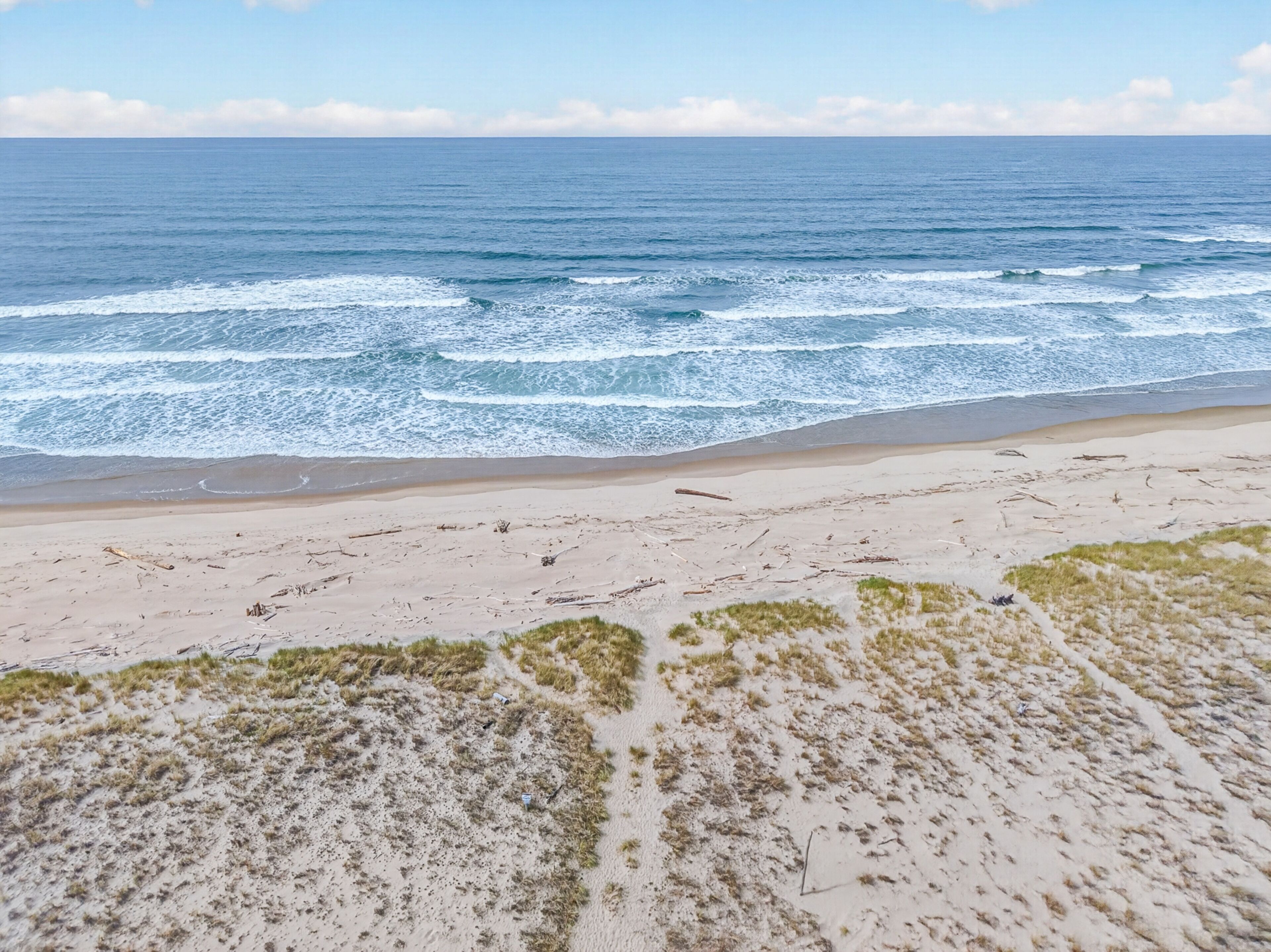 A beach with waves, sand, and sparse vegetation.