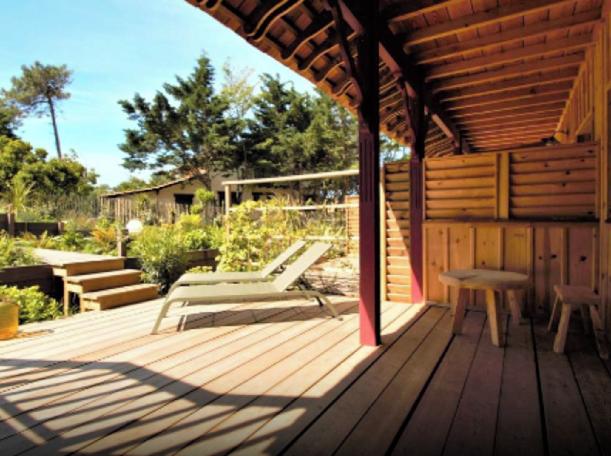 Terraza o patio