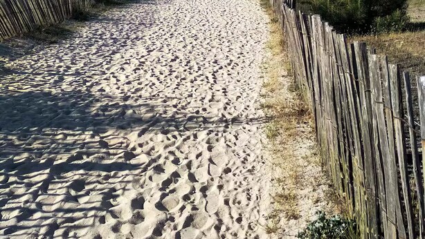 Ein Sandweg am Strand, beidseitig mit Holzzaun begrenzt, der zum Meer führt.