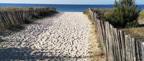 Playa