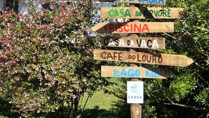 A wooden signpost with multiple directional arrows pointing to various destinations such as 'BIBLIOTECCA,' 'CASA DO LOURSO,' and 'CAFE DO LOURRO.' - CABRA - Casa do Burro (Setúbal)