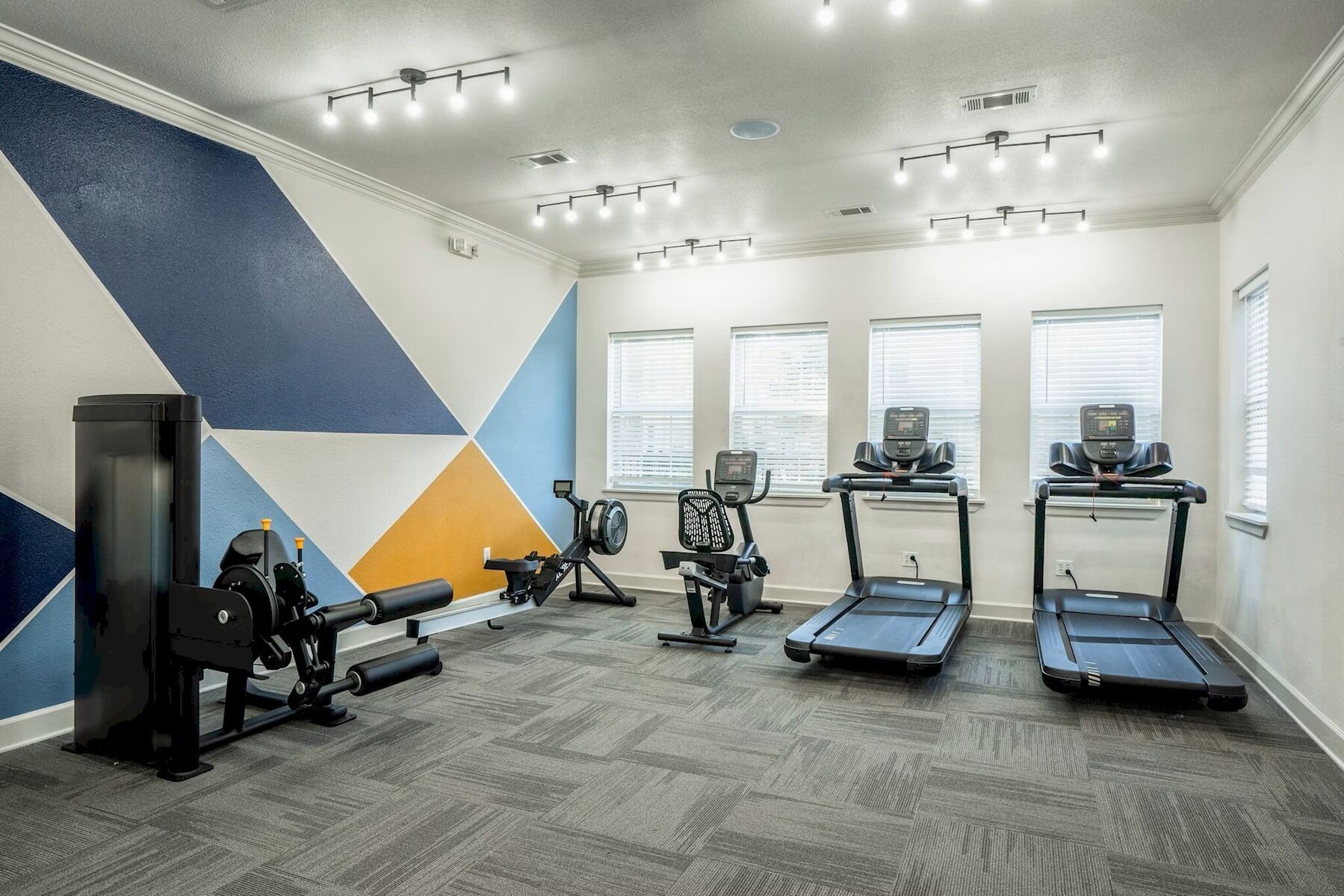 A gym with treadmills, elliptical machines, and weight equipment.