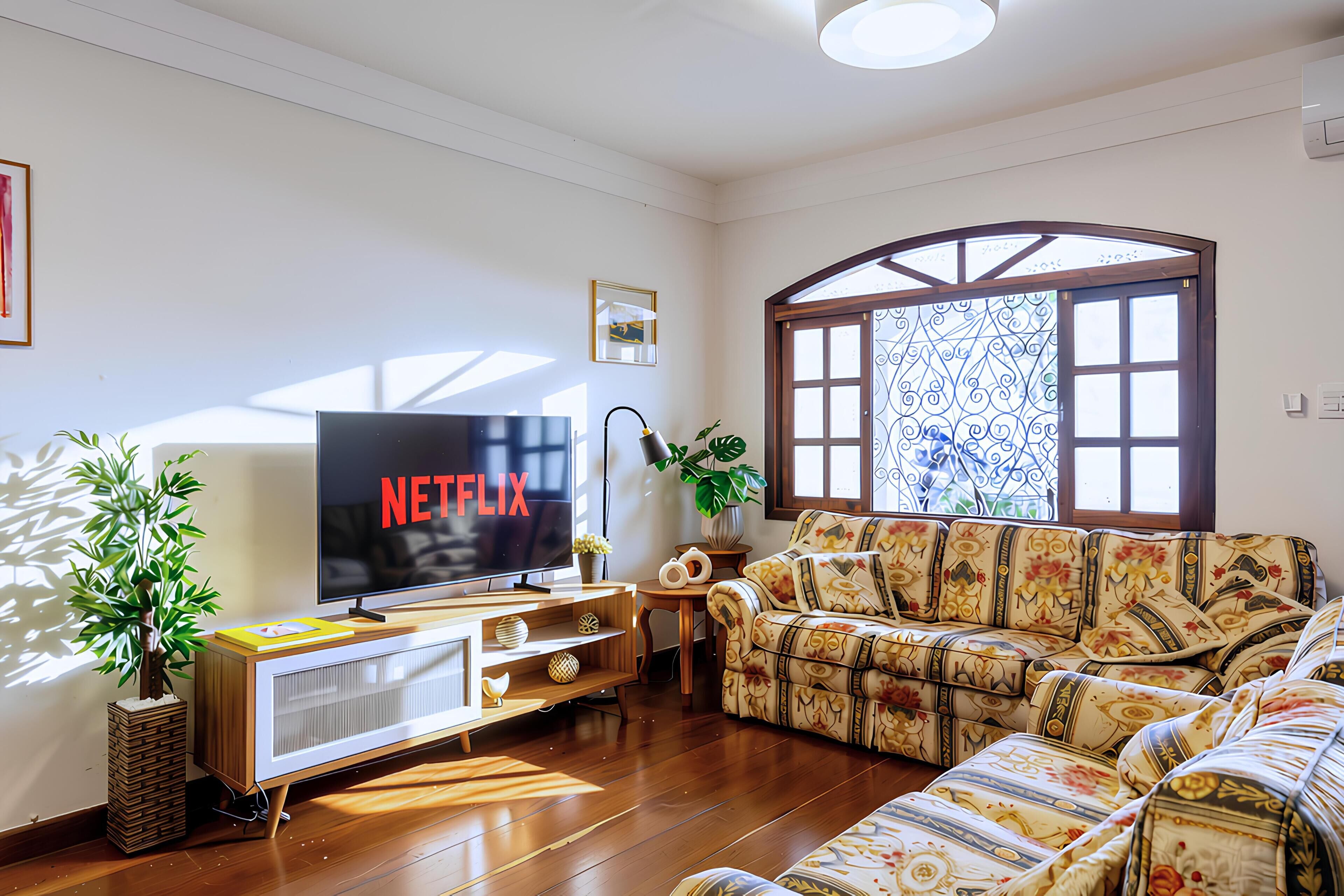 A living room with a flat-screen TV displaying 'NETFLIX,' a sofa, a coffee table, a potted plant, and a window with decorative glass.