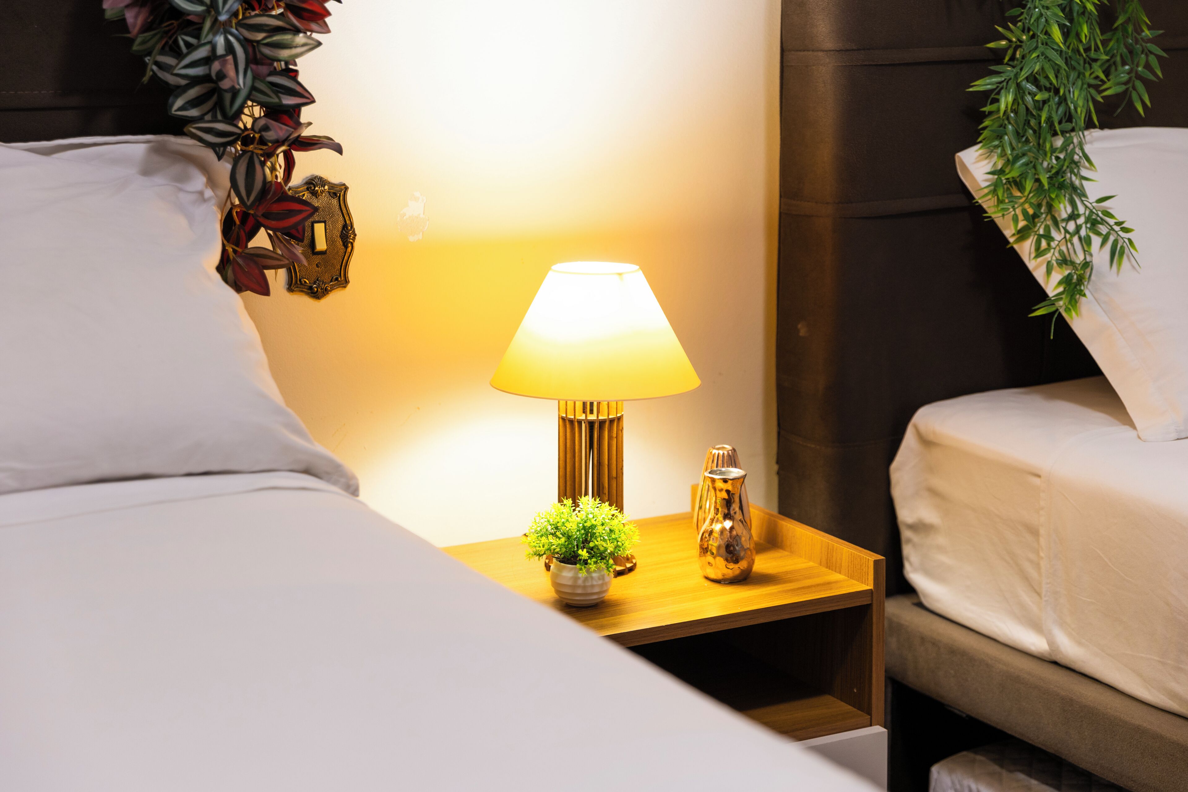 Una cama bien hecha con sábanas blancas, una mesita de noche con lámpara, una pequeña planta en maceta y un objeto decorativo.