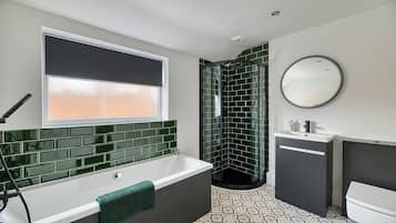 Shower, towels, toilet paper