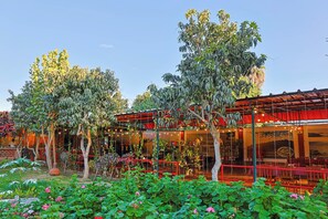 A restaurant with outdoor seating, surrounded by greenery and trees.