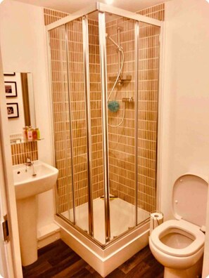 A bathroom with a glass-enclosed shower, a sink, and a toilet.