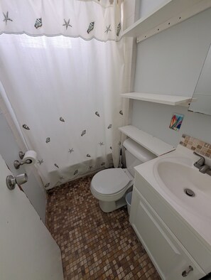 Secador de pelo, toallas, jabón, papel higiénico