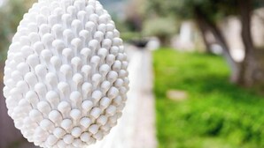 A close-up of a spherical object with a textured surface. - Belvedere Apartment - Breathtaking sea view with terrace in Nerano (Nerano)