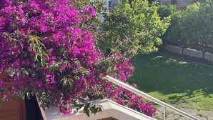 Ein Balkon mit Blick auf eine grüne Rasenfläche und ein Gebäude im Hintergrund.