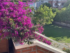 Property grounds - Apartment in Gorliz (LBI00683) (GORLIZ)