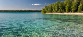 Shanty Creek Studio, King Bed, Pool & Beach