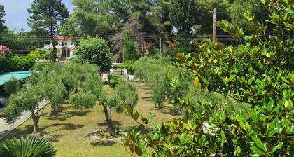 GeoVilla 1 - Pefkochori Glarokavos