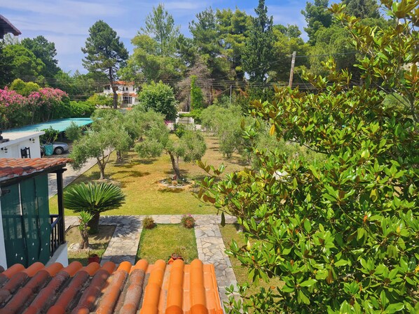 A residential area with a swimming pool, trees, and a house in the background.