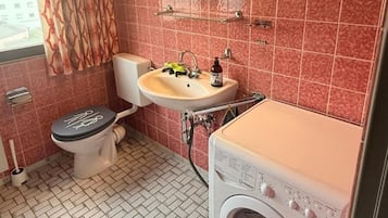 Secadora de cabello, toallas, papel de baño