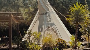 Ein Tipi mit einer Holzkonstruktion im Vordergrund, umgeben von verschiedenen Pflanzen und Bäumen.
