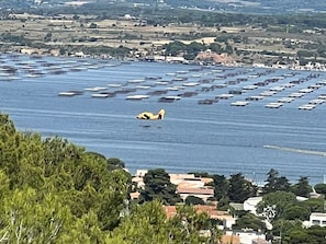 A coastal area with boats, a person in a yellow outfit, and buildings in the background. - Bed and Breakfast 'L'escarpee Belle' with Sea View, Wi-Fi and Air Conditioning (Sète)