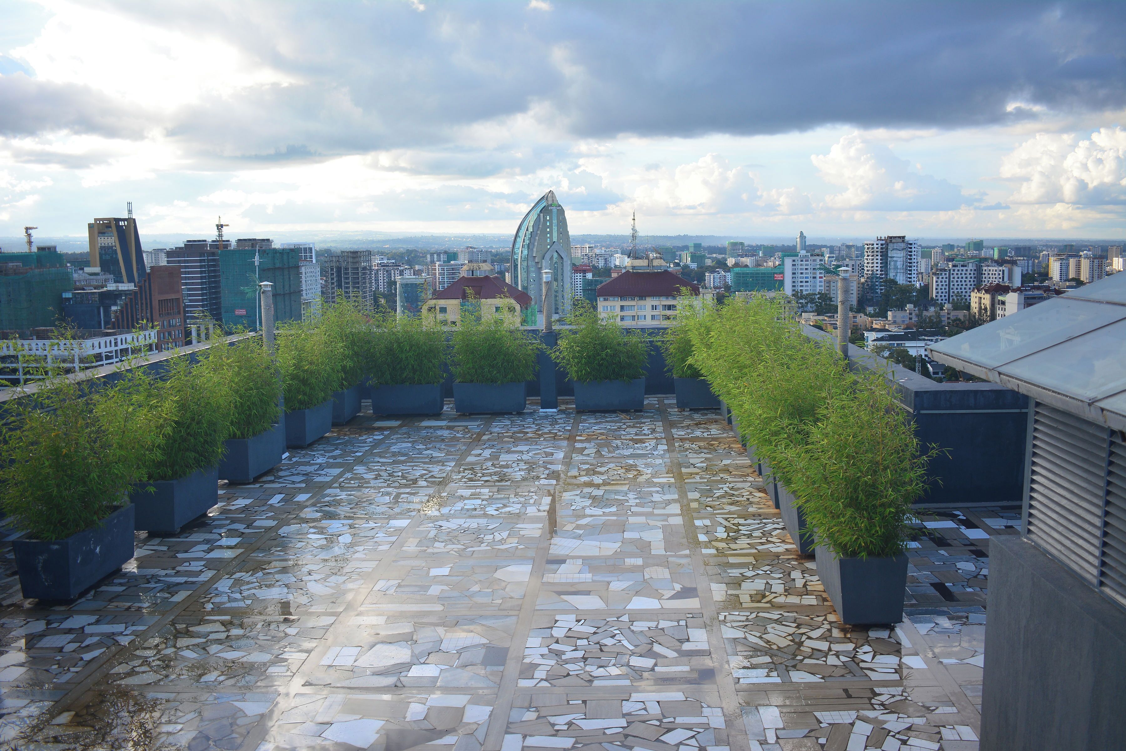 A rooftop terrace with potted plants, a mosaic floor, and a cityscape view.