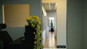 A hallway with a desk, chair, and a potted plant. - Hostel Estação da XV (Telêmaco Borba)