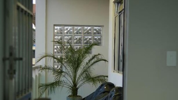A hallway with a potted plant, a window with a grid pattern, and a couch. - Hostel Estação da XV (Telêmaco Borba)