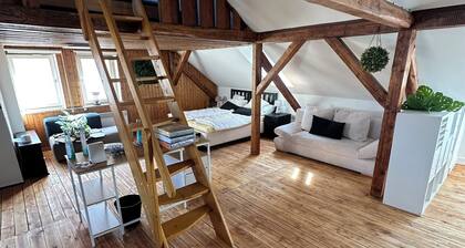 Gemütliche Dachgeschosswohnung Hauptbahnhof/Stadt