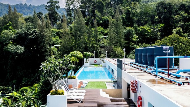 Una piscina con vista sulle montagne, immersa nel verde.