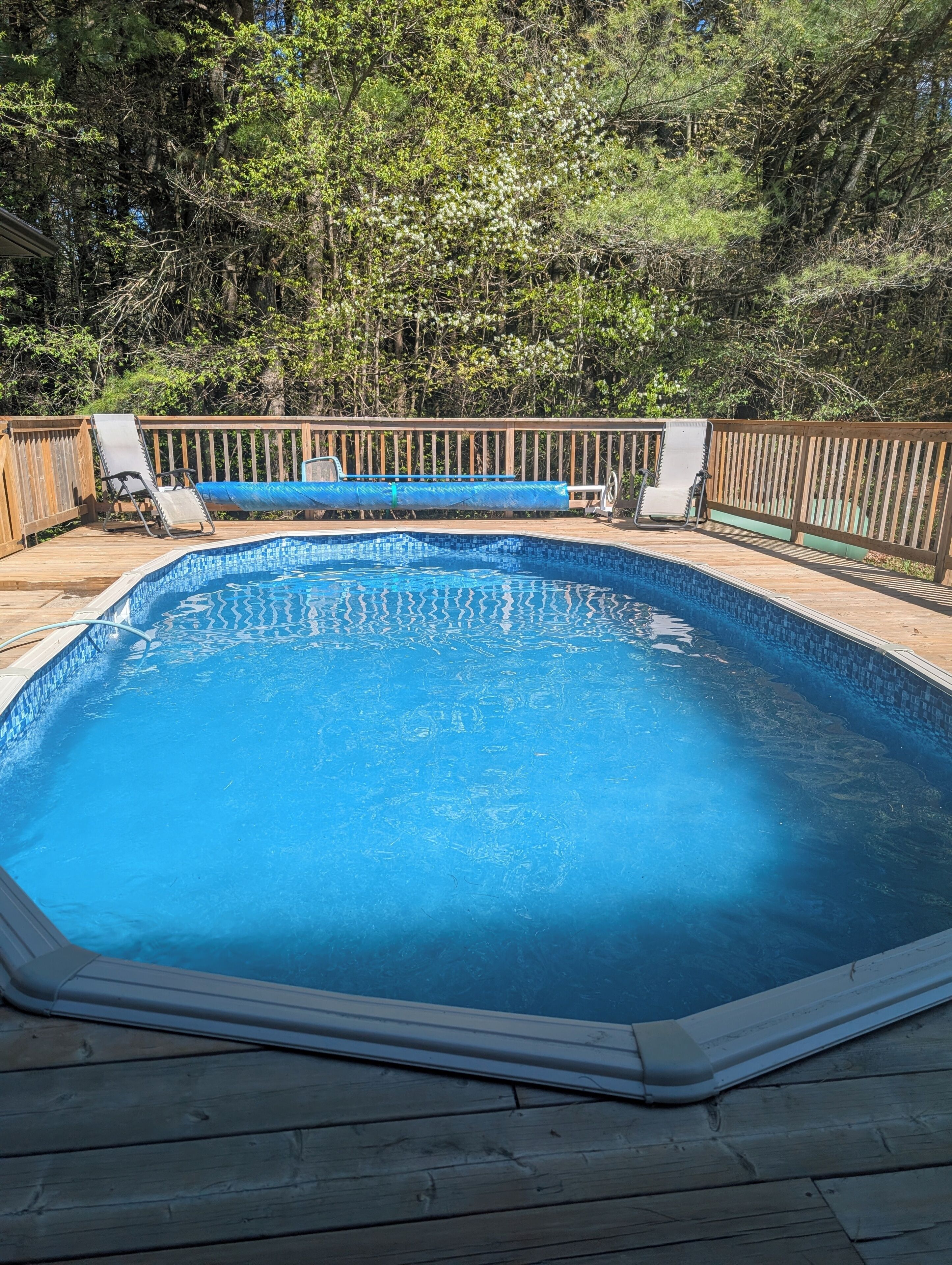 Piscina externa