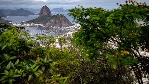 A coastal cityscape with a prominent mountain, dense greenery, and a view of the sea. - adv010 (Rio de Janeiro)