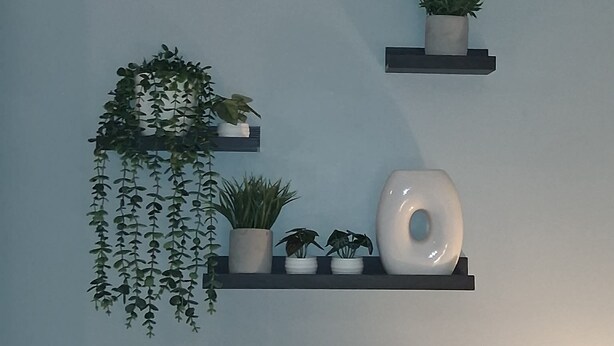 A wall with three shelves holding potted plants and a white vase.