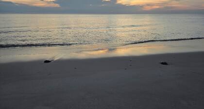 2/3-bdrm home in the sunset capital! Close to Cape May and Wildwood! EV charger