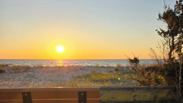 Un banco mirando hacia una puesta de sol sobre una playa con arena y vegetación escasa.