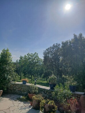 Property grounds - Charming house in the Var in a residence with swimming pool (Seillans)