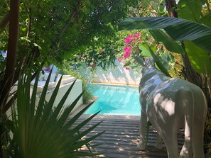 Ein Poolbereich mit einer Statue, umgeben von üppiger Vegetation und blühenden Pflanzen.