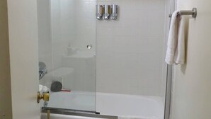 A bathroom with a toilet, a glass-enclosed shower, and a bathtub.
