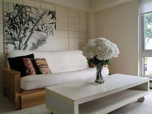 TV - Harvard Square Home in Heart of Cambridge! (Cambridge)