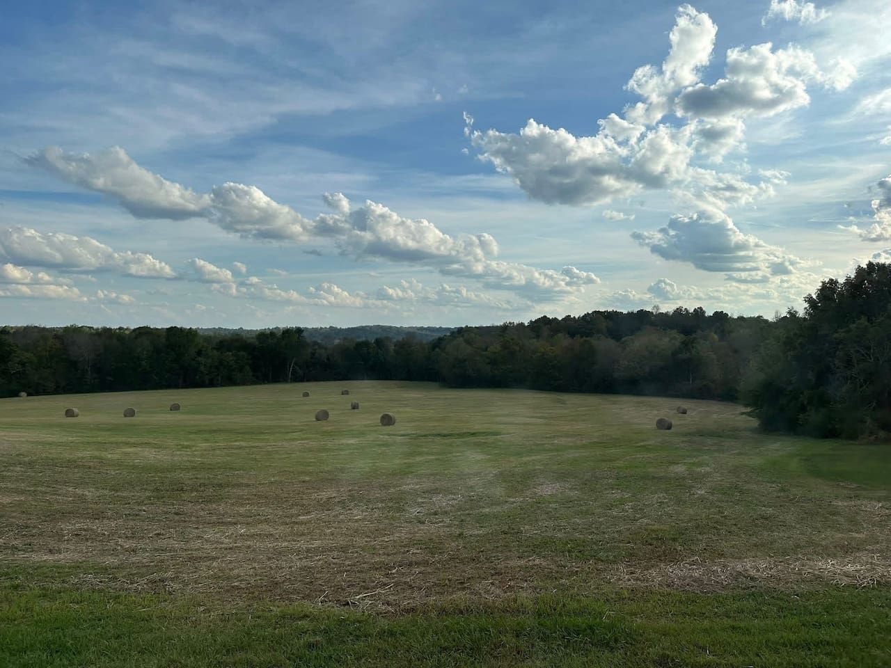 A wide-open field with hay bales and a forest in the background.