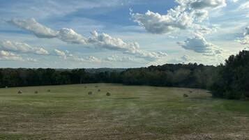 A wide-open field with hay bales and a forest in the background.