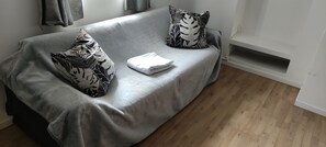 Fireplace, table tennis, books