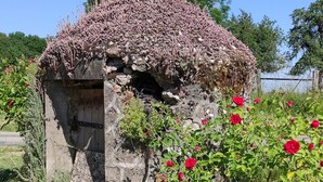 Une construction rustique en pierre, dotée d’une porte en bois, entourée d’une végétation luxuriante et de fleurs rouges.