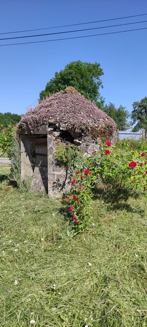 Exterior - Vrbo Property (Verdelot)