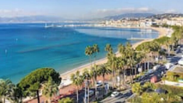 A coastal view with a beach, palm trees, and a distant cityscape.